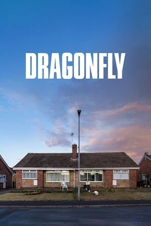 Dragonfly 2025 English Hindi Dual Audio WEB-DL 720p - 480p - 1080p